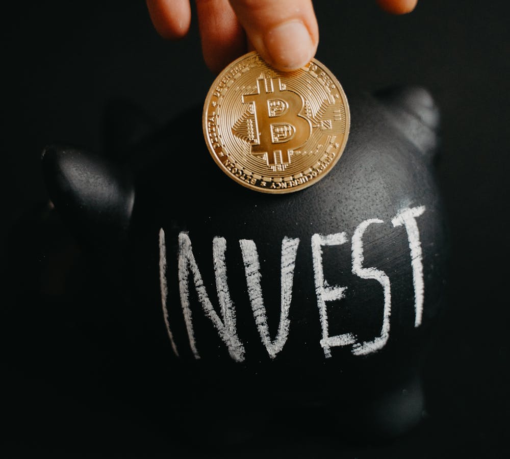 pexels-photo-6781365-1