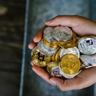 pexels-photo-8369770-1